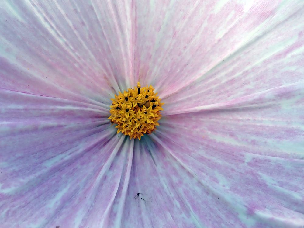 Photograph by Алексей Амилющенко