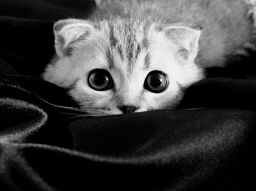 Photograph by Анастасия Ивахнова