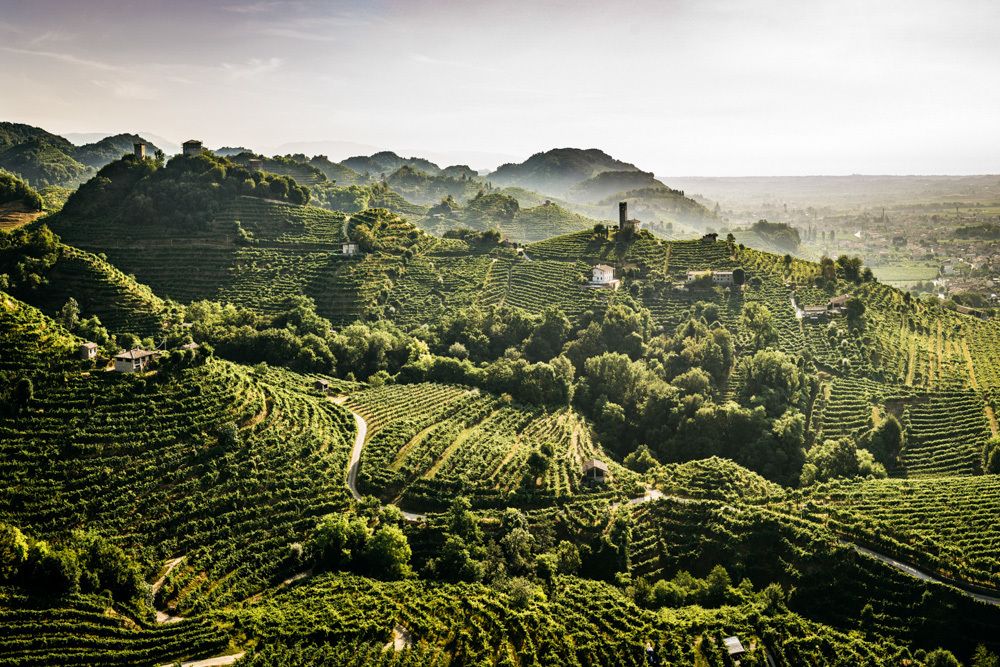 The Prosecco Hills