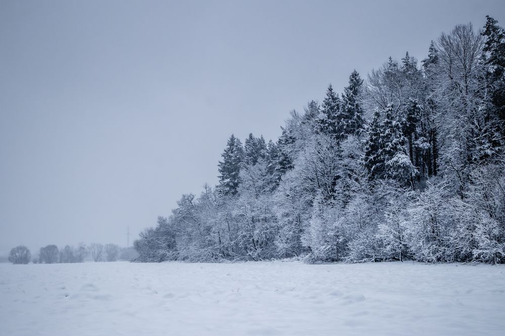 Photograph by Алексей Сухачев