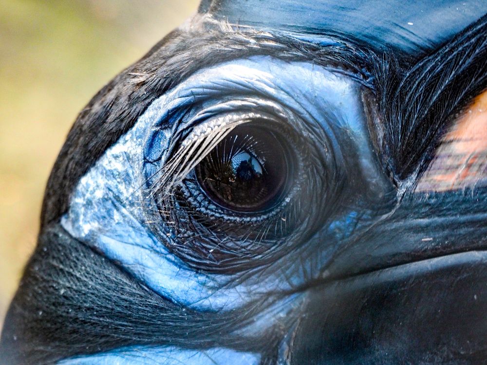 Photograph by Евгения Чепурная