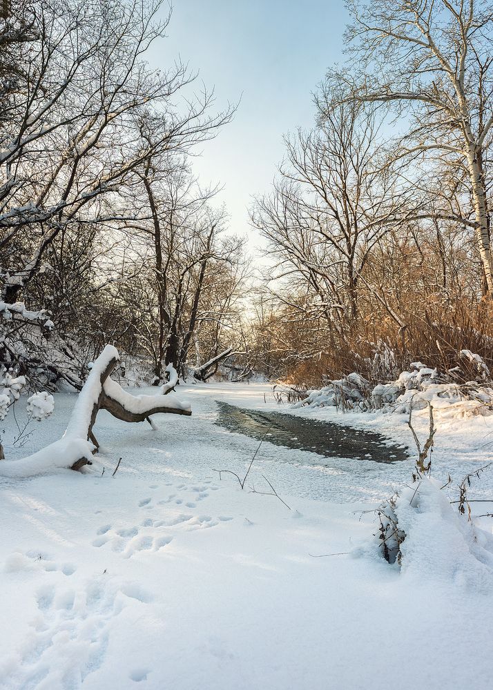 Photograph by Alexander Plaksin