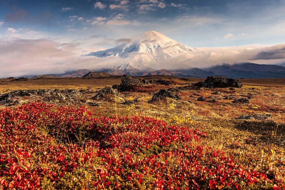 Фотография автора Татьяна Бурлакина