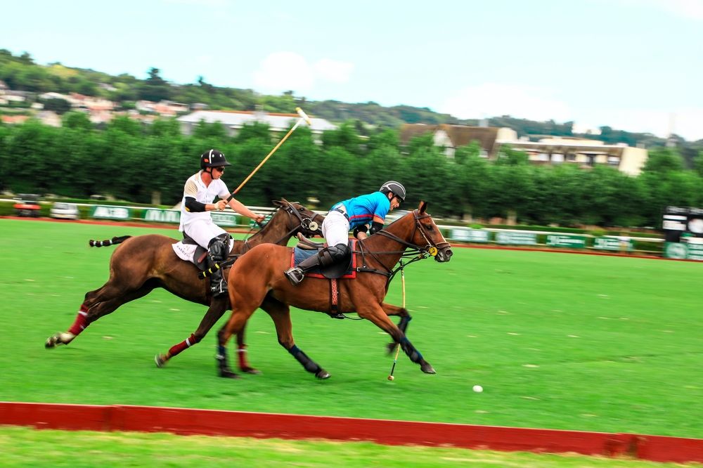 Фотография автора Evgeny Gorbunov