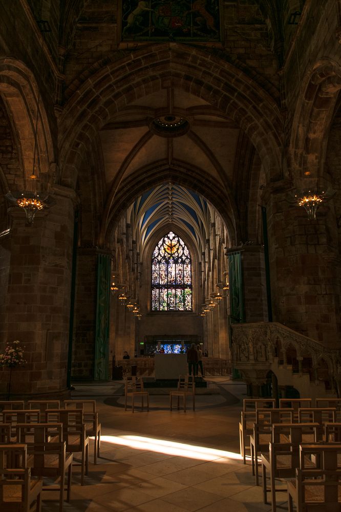 Фотография автора Sherine El Mously