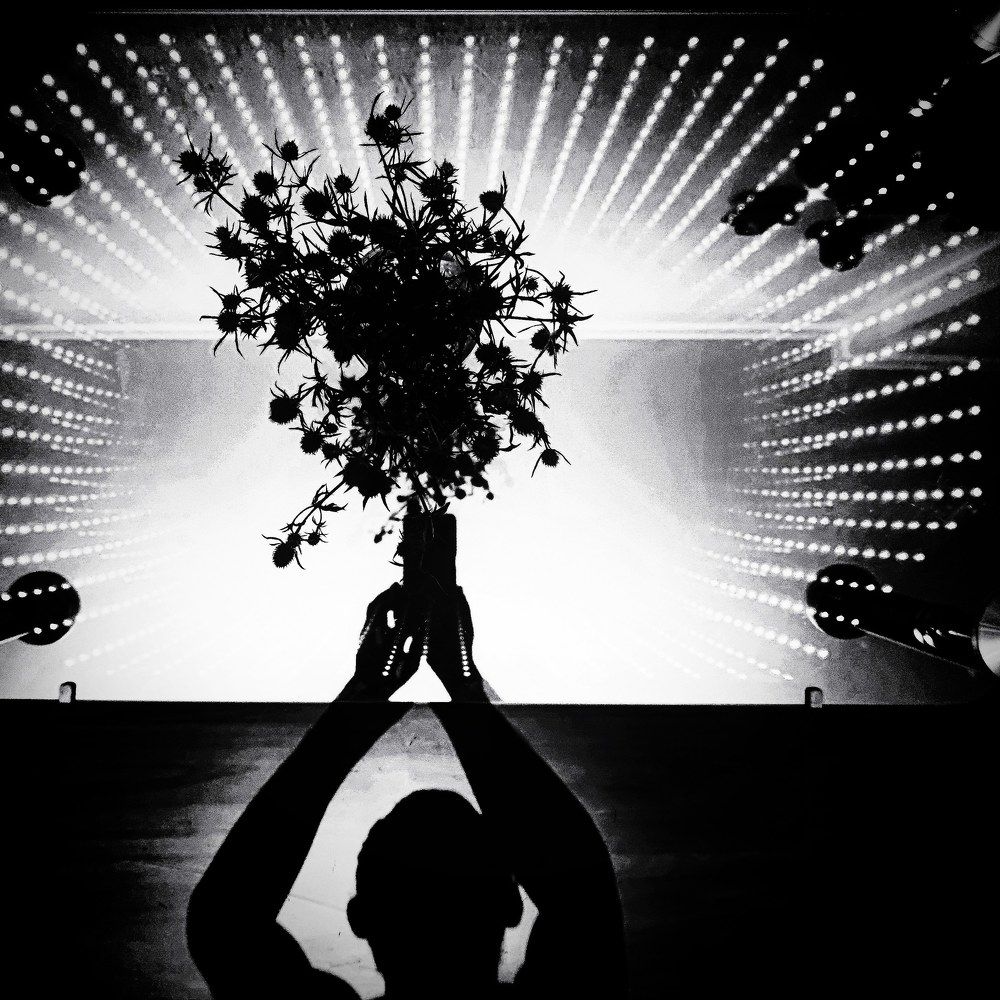 Photograph by Максим Чибисов