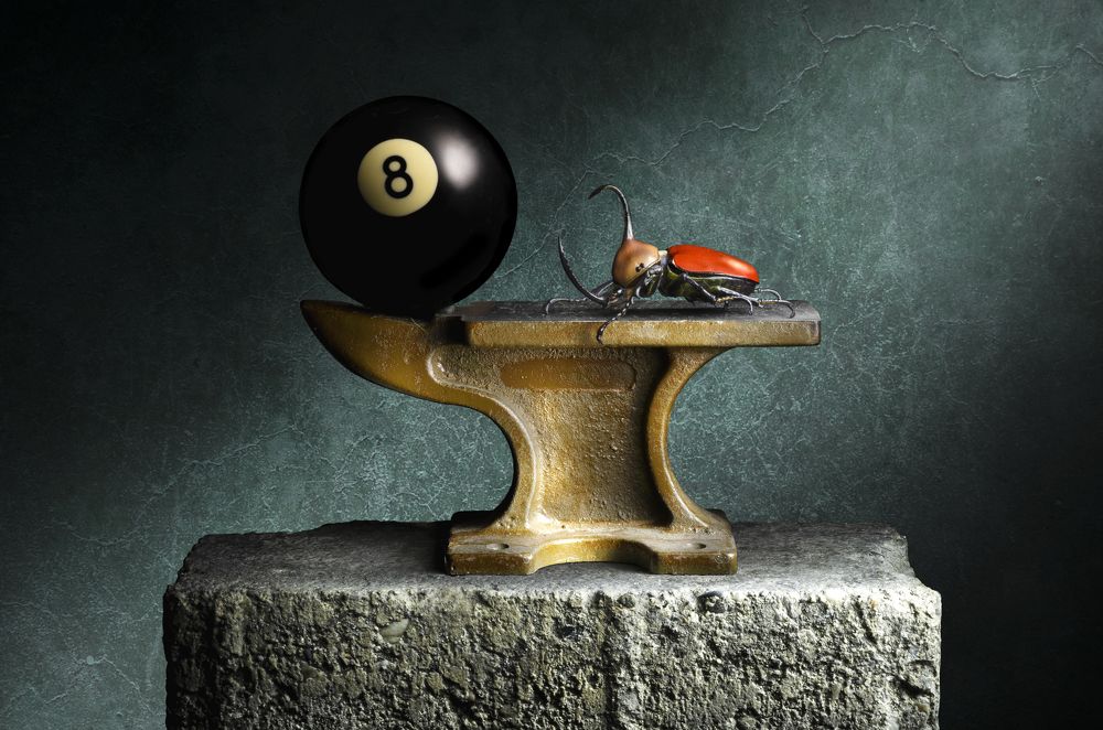 Photograph by Alessandro Subazzoli