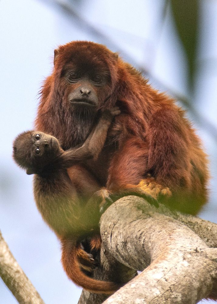 Photograph by Rose-Anne Reyes