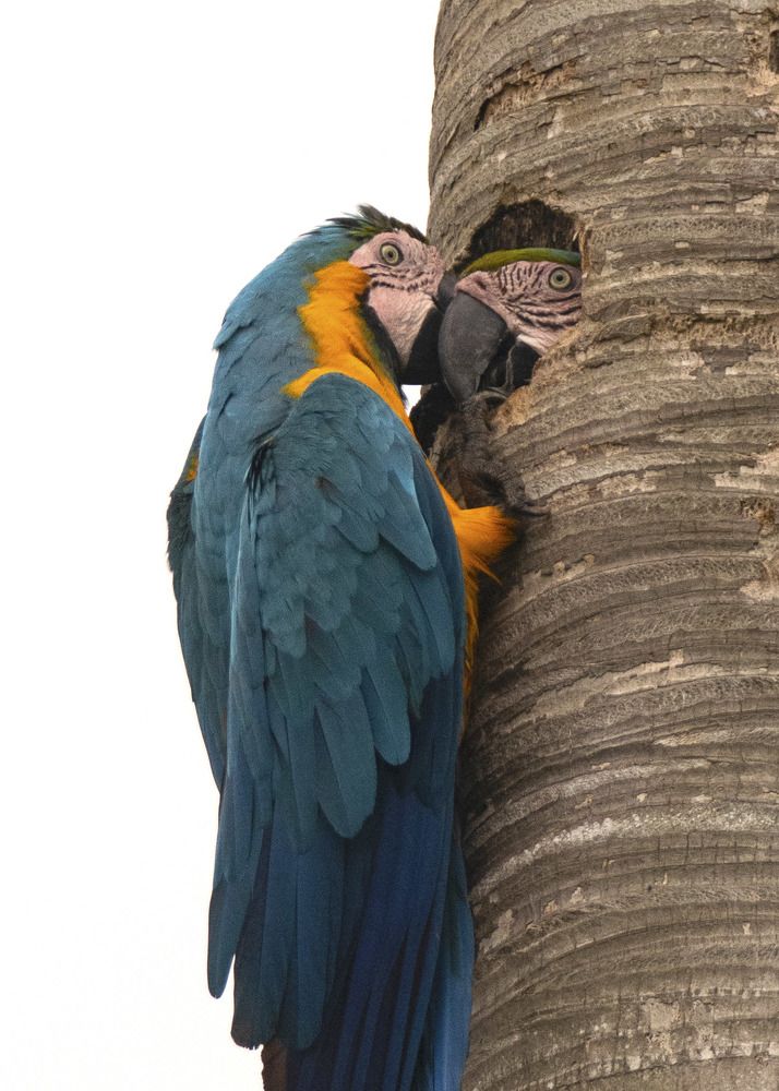 Photograph by Rose-Anne Reyes