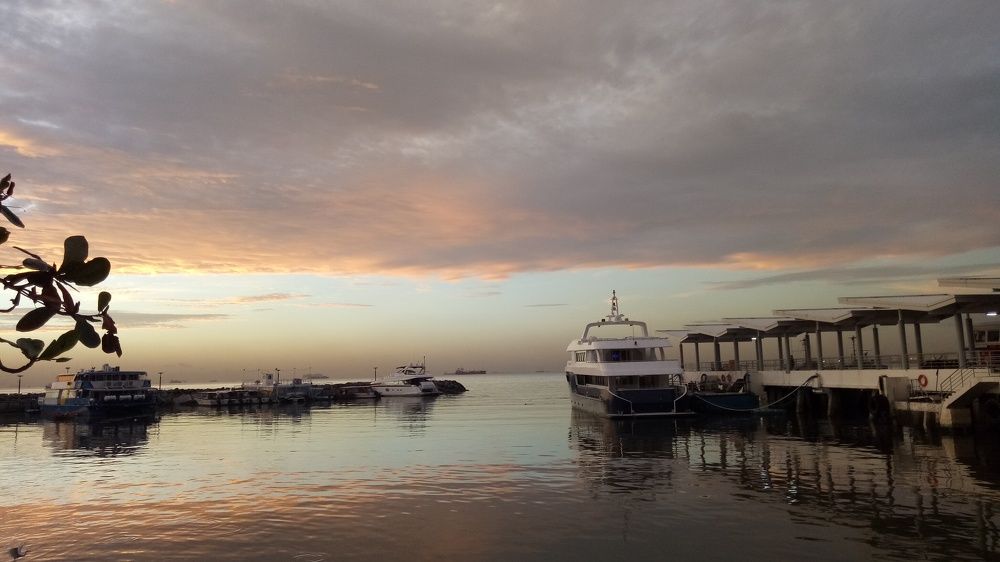 Photo #5629648