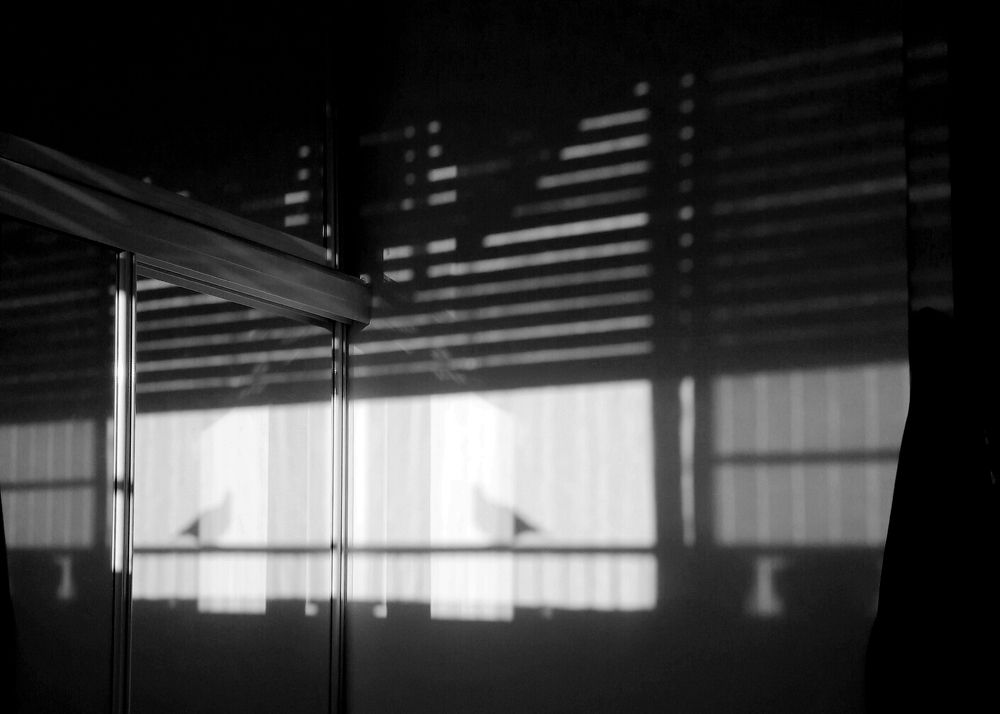 Photograph by RODRIGO SARACENI