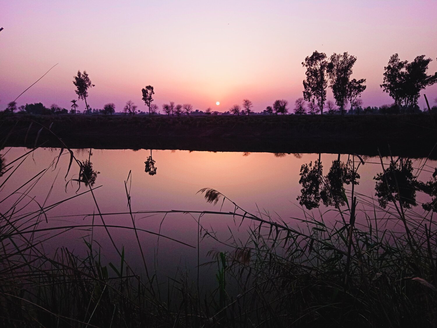 Photo #5629769