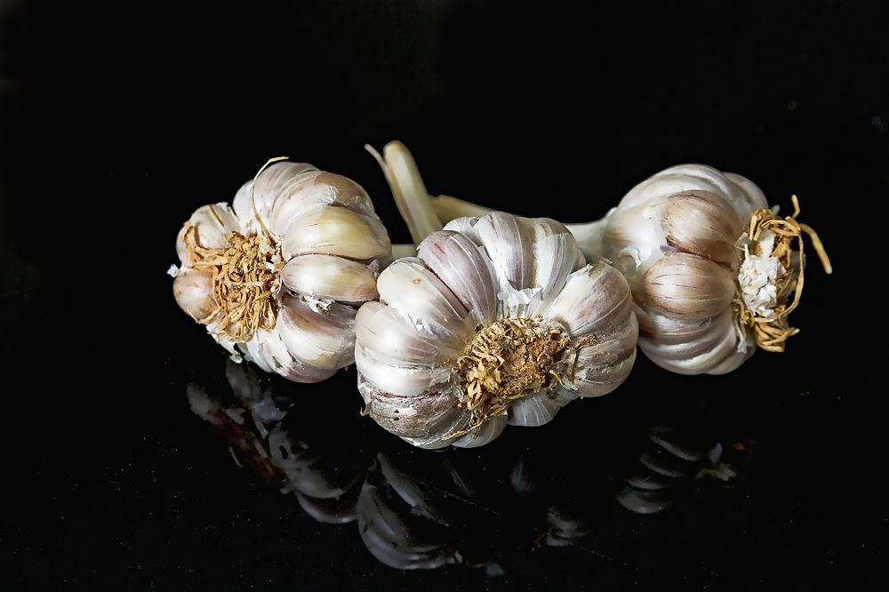 Photograph by DUONG QUANG NGHIA