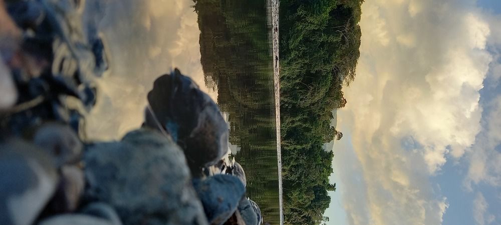 Photo #5629864