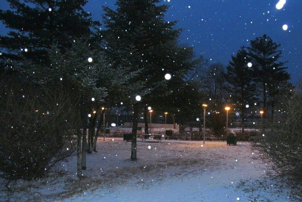 Зимняя сказка.