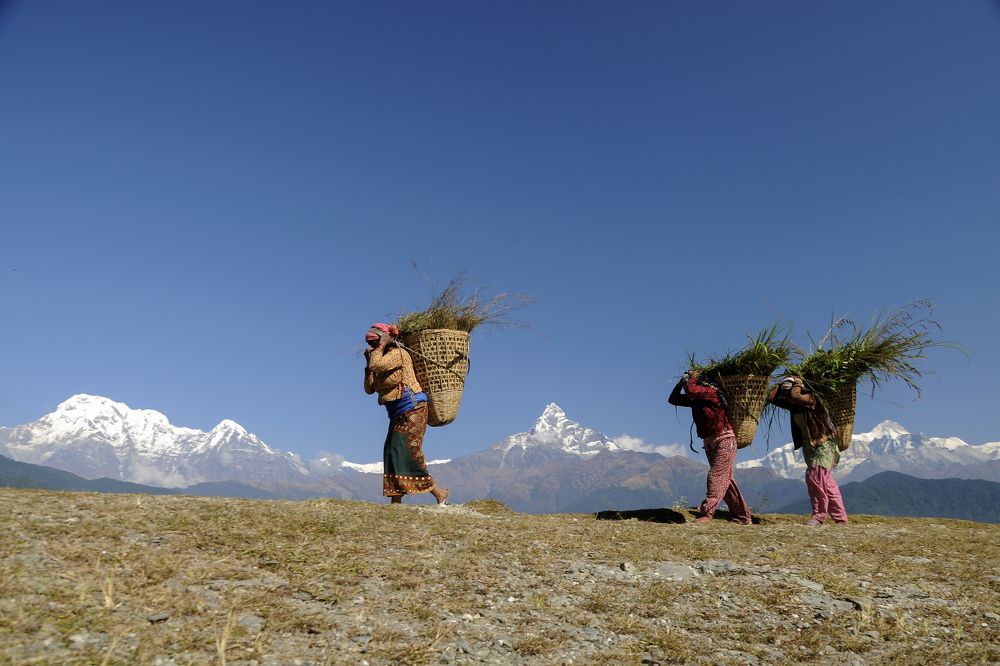 Sustainable Agirculture