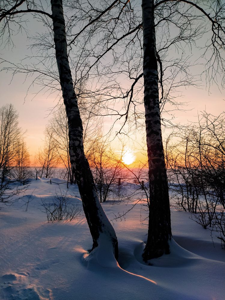 Photograph by Елена Бохолдина