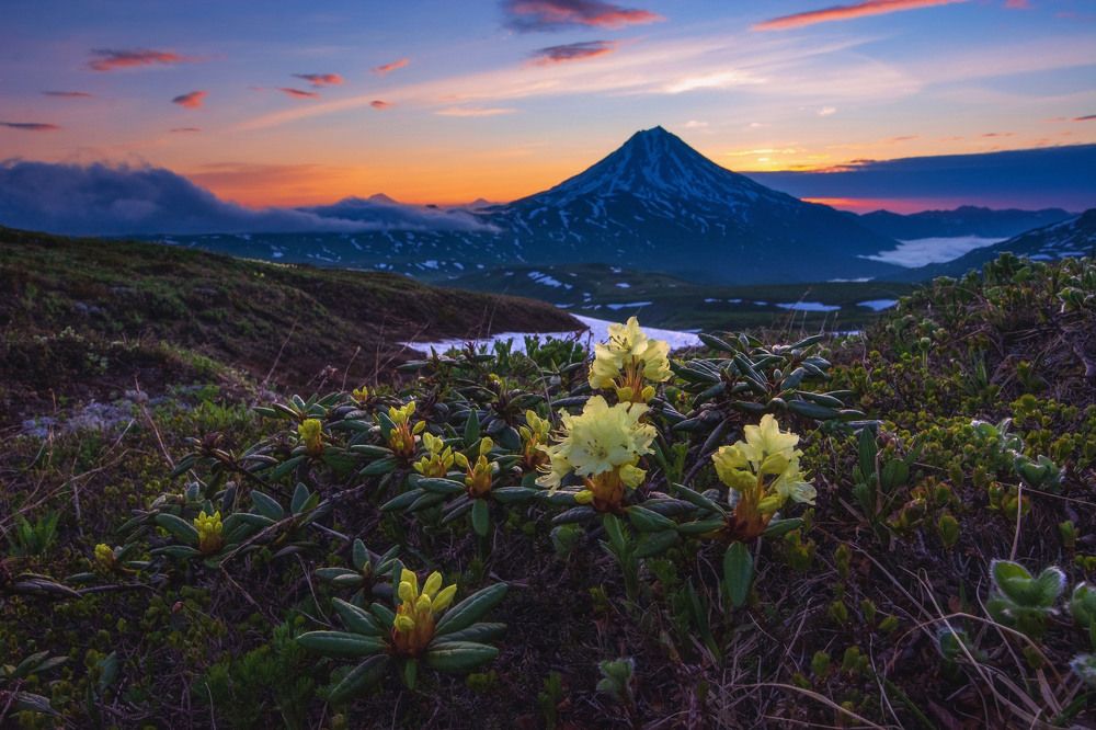 Photograph by Алексей Кретов
