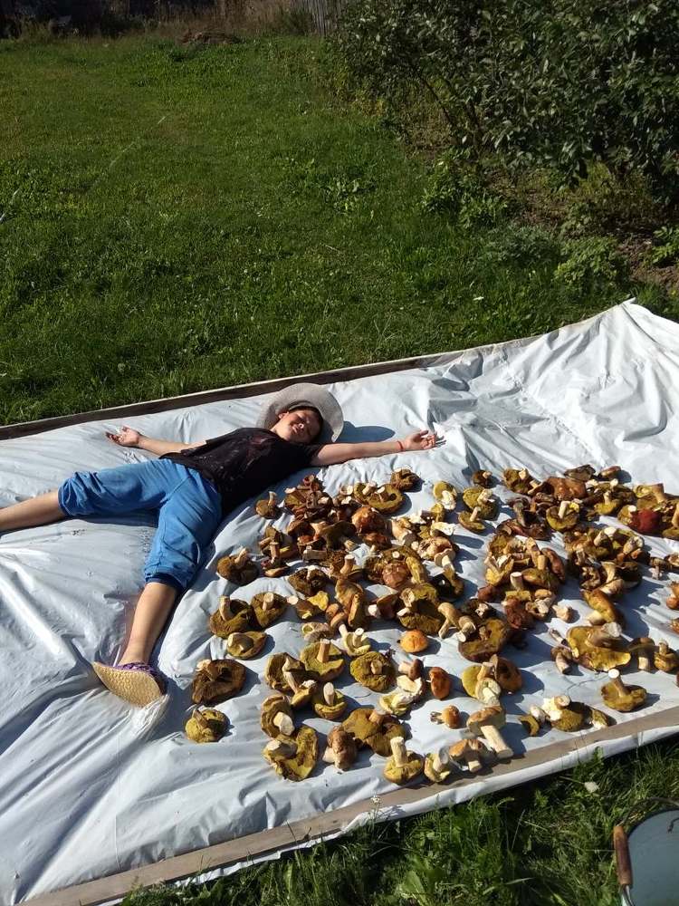 Фотография автора Лариса Фомкина