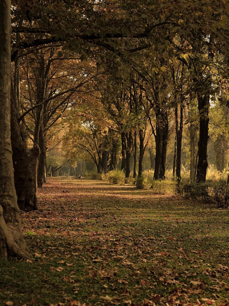 Photograph by Владимир Кульбит