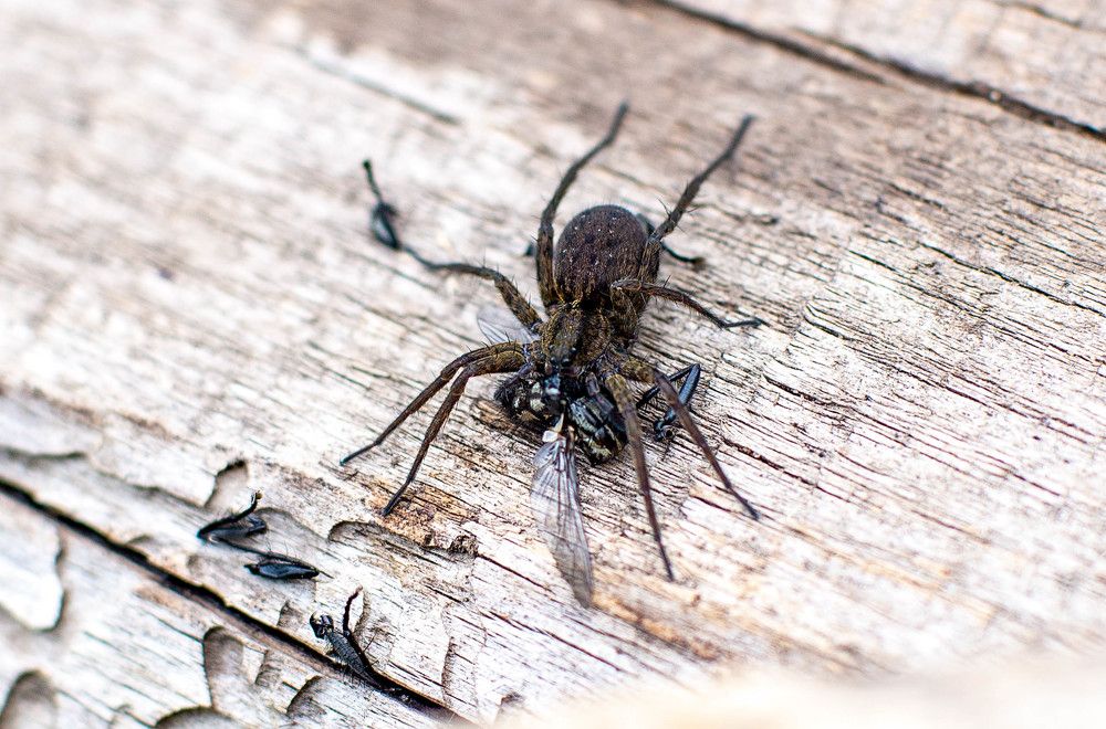 Фотография автора Владимир Оликов