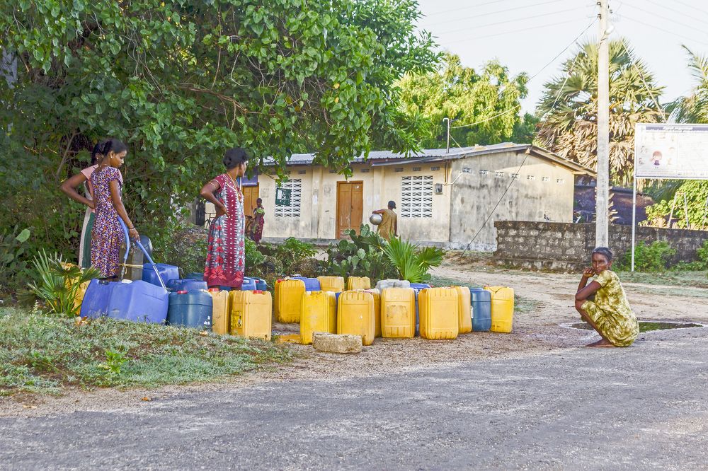 Photograph by Shreeharan Rajasingham