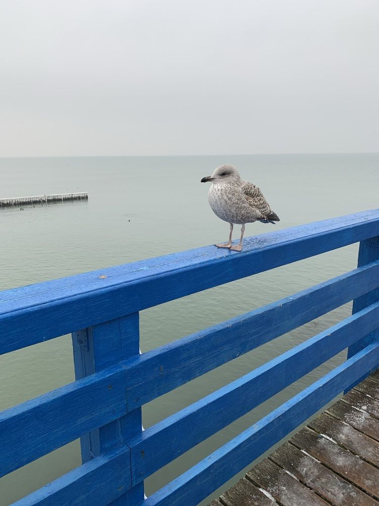 Photograph by Руслан Кабиров