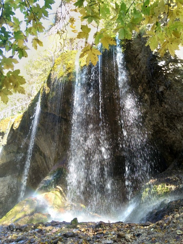 Photograph by Ольга Габукова