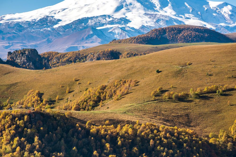 Photograph by Лебедева Наталия