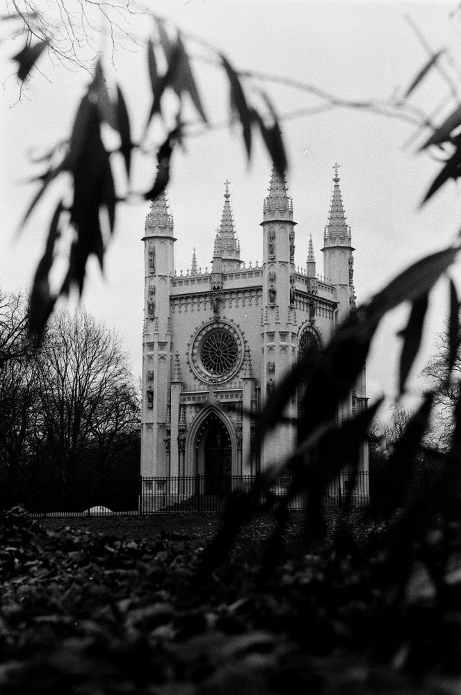 Photograph by Никита Серебряков