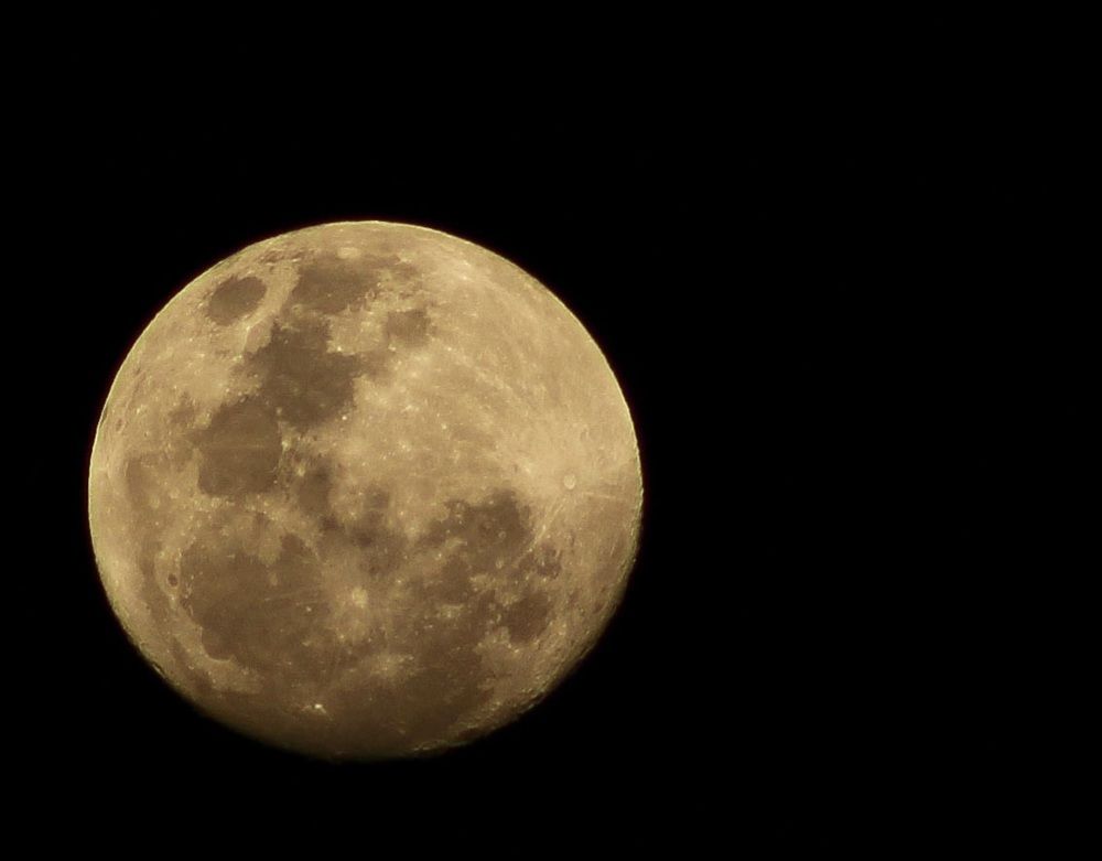 Фотография автора Nancy Thompson