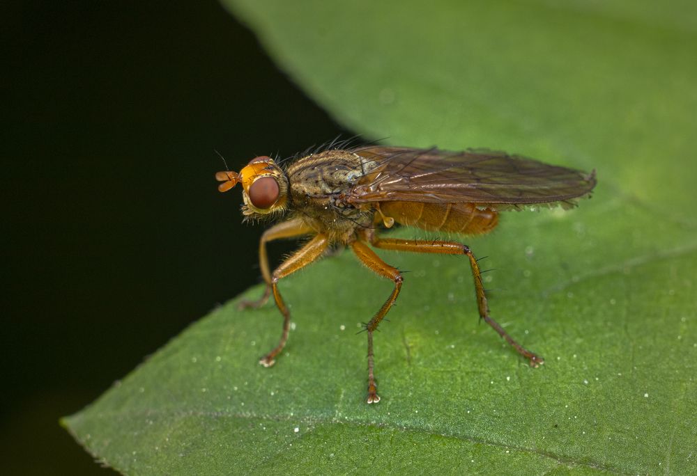 Photograph by Глеб Коровко