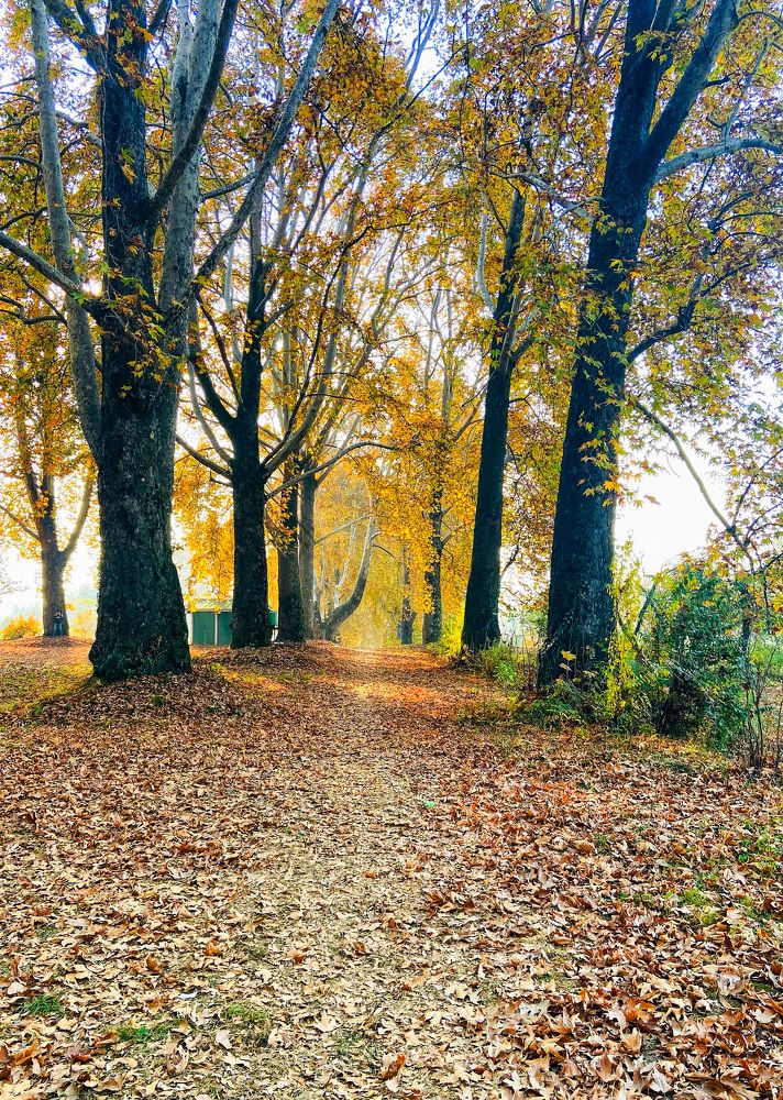 Photograph by Malik Sajid