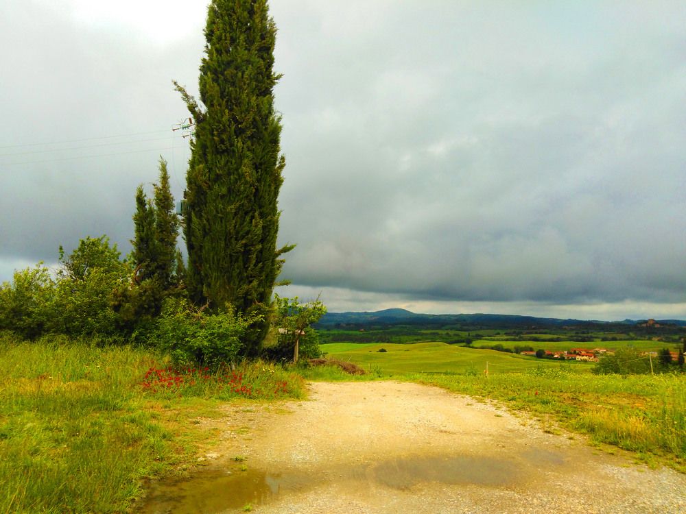 Photograph by Marina Razheva