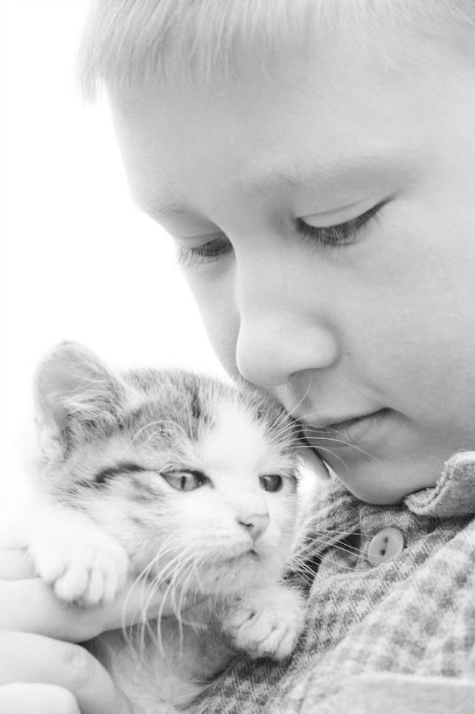 Photograph by Алексей Ловцов