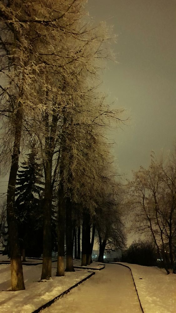 Костромские парки, снежные аллеи - Вы всегда маните  тишиной своею. Здесь мы стали лучше и чуть-чуть смелее Делали признания под ветвистой елью...