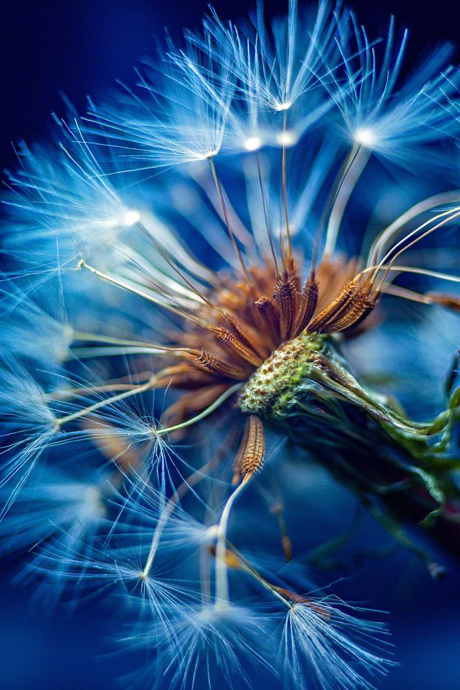 Photograph by Иван Радьков