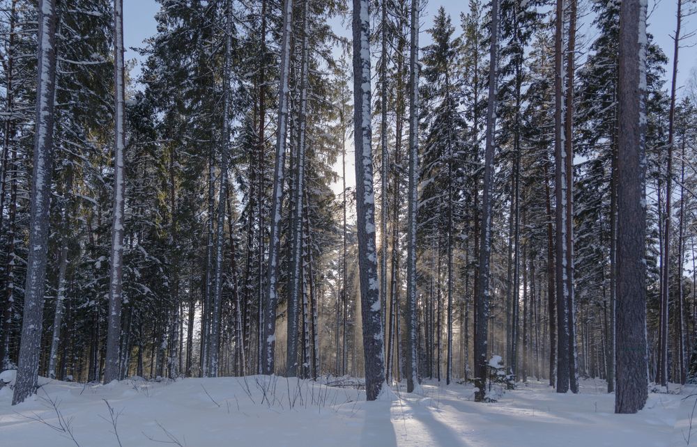 Пробуждение...