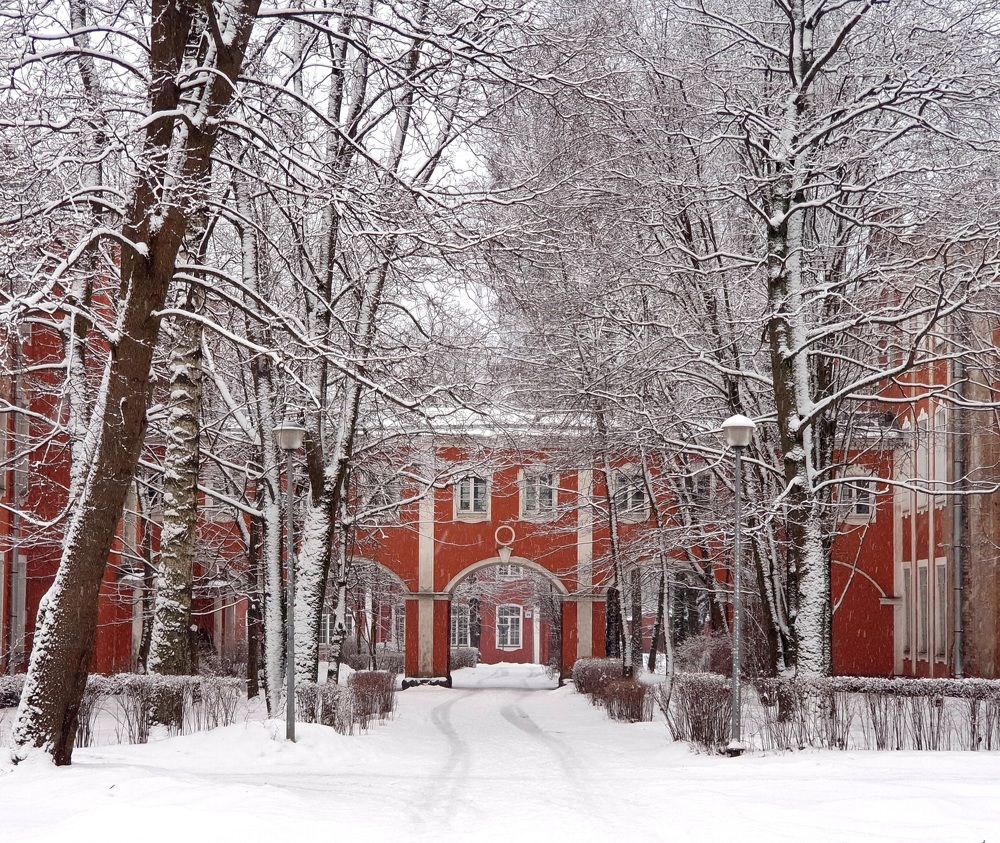 Photograph by SERGEY GORODOV