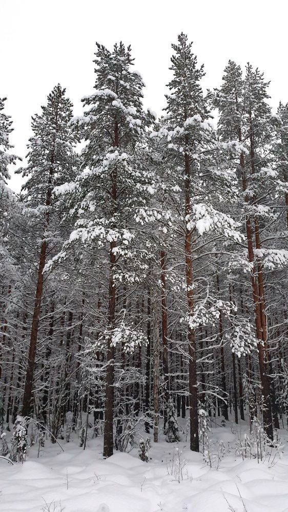 Photograph by SERGEY GORODOV