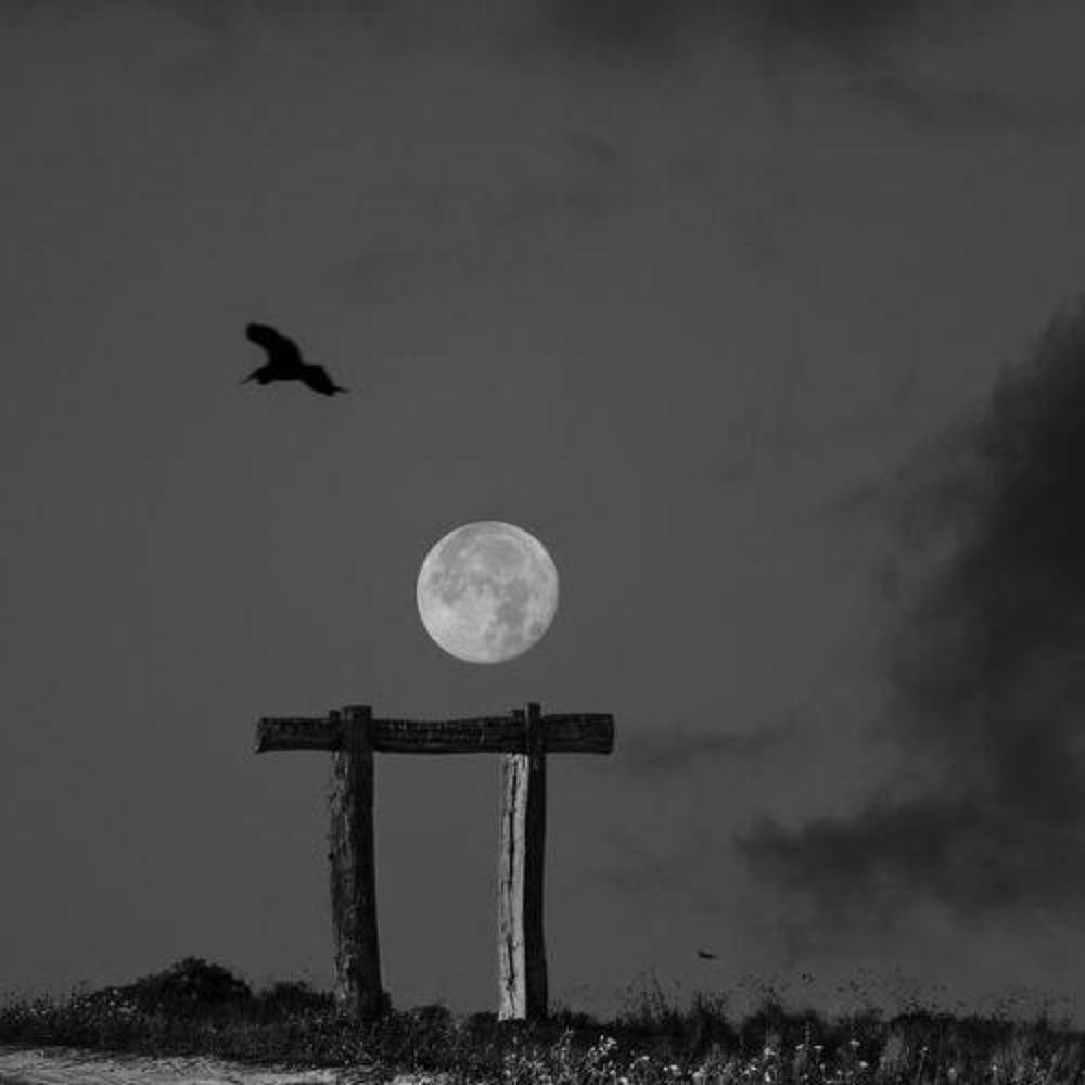 Концептуальный минимализм