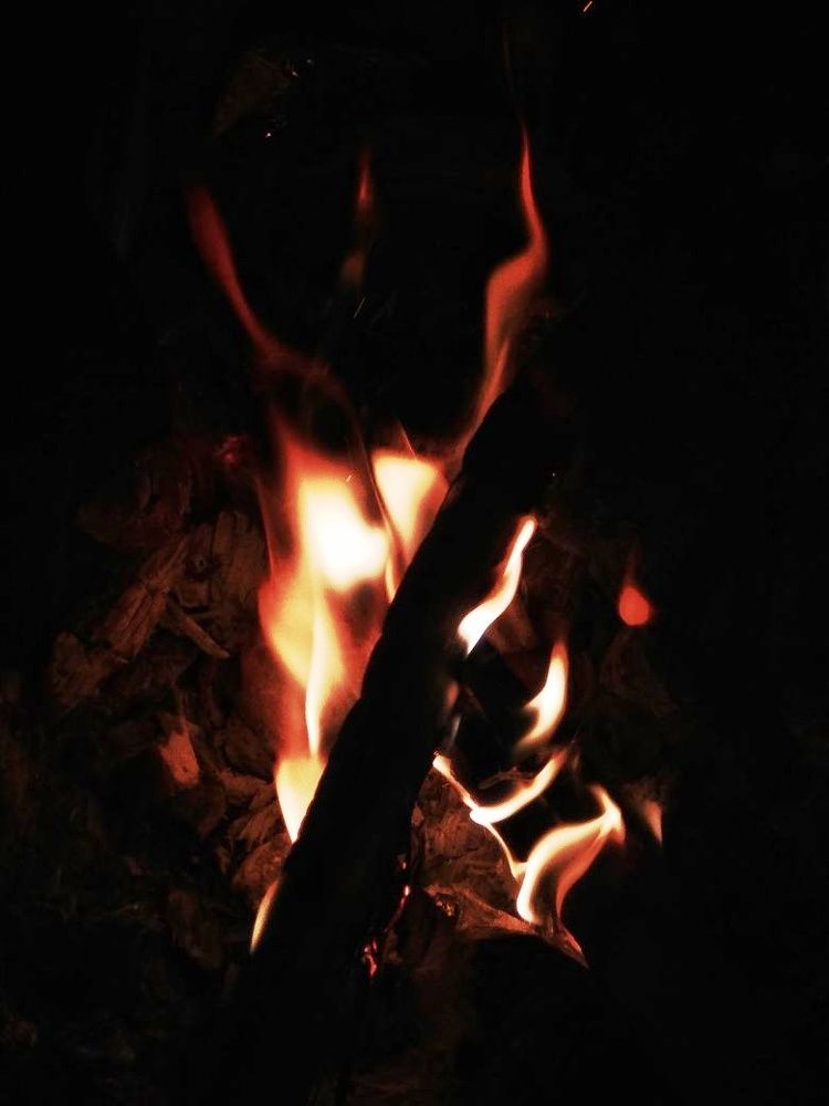 Photograph by Siddharth Mehta