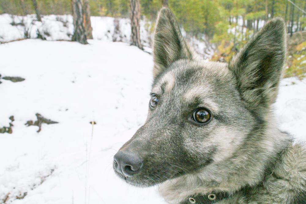 Photograph by Алексей Ловцов