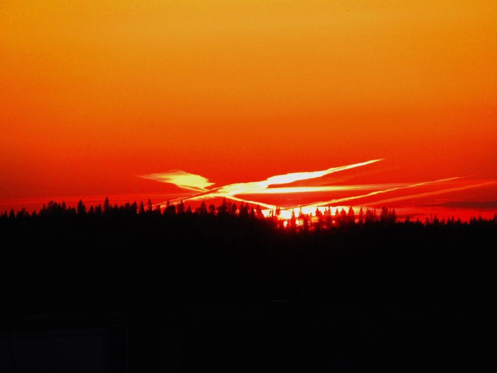 Photograph by Любовь Бусова