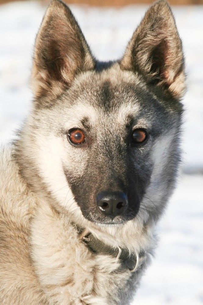 Photograph by Алексей Ловцов