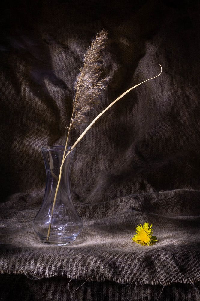 Photograph by Алексей Середенин