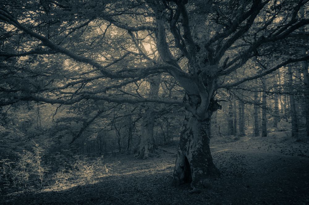 Photograph by Дмитрий Кондратьев