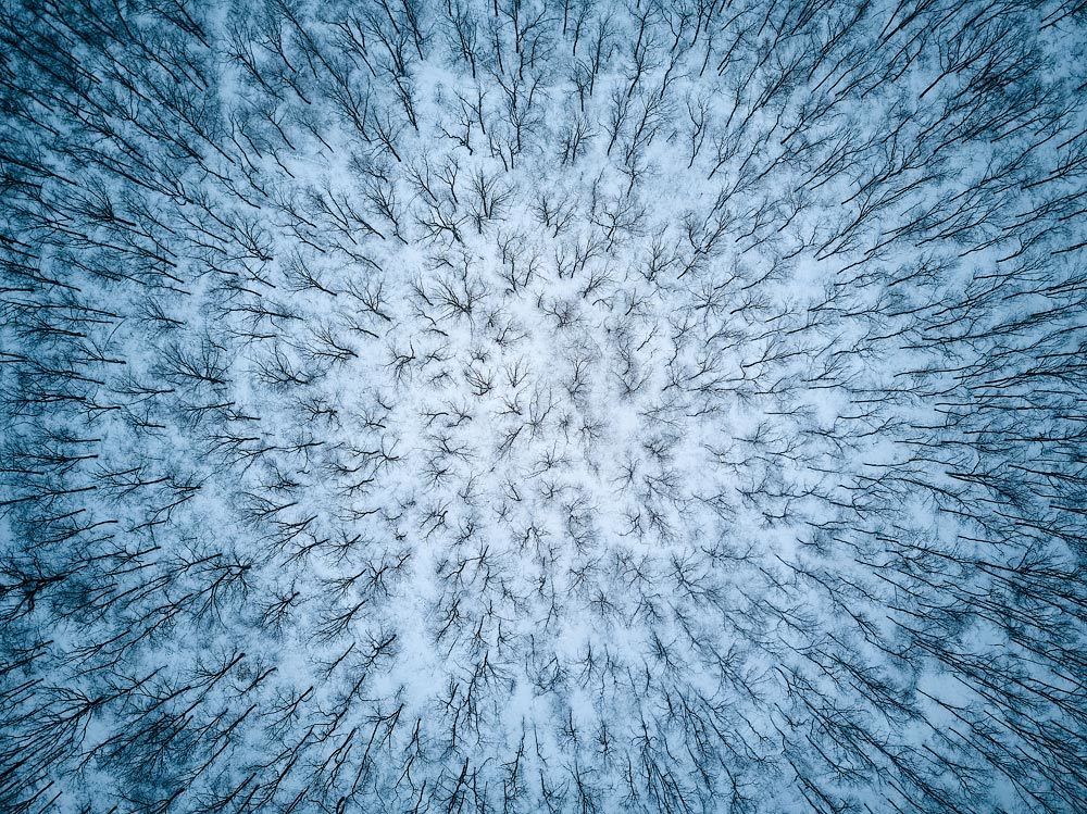 Photograph by Igor Sirbu