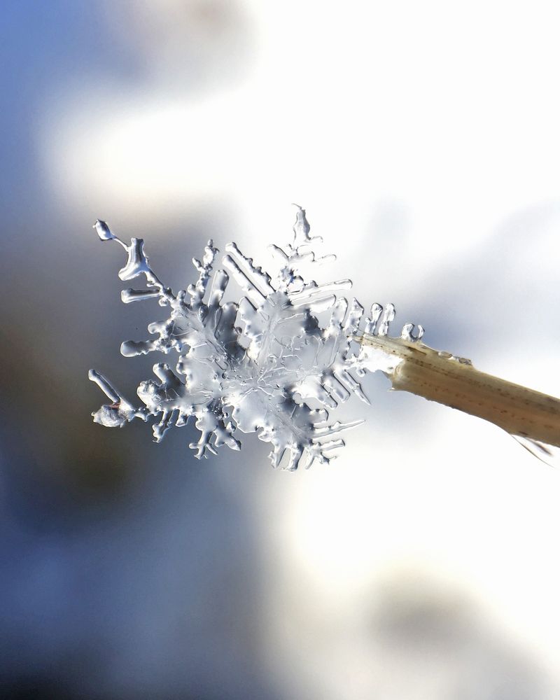 Photograph by Ольга Мурзина