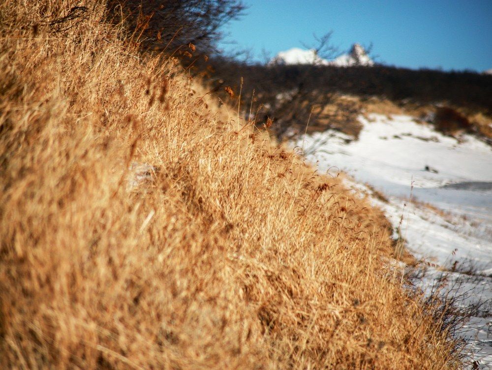 Photograph by Алиса Урсу